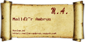 Mallár Ambrus névjegykártya